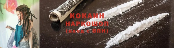 кокс Алексин