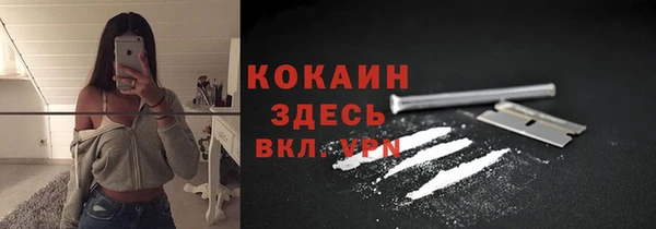 кокс Алексин
