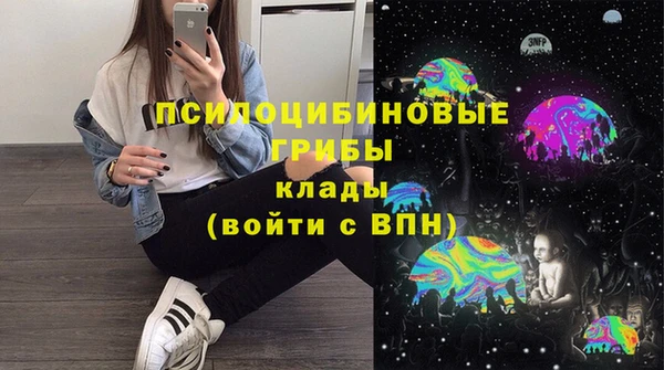 сатива Алзамай