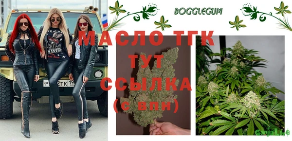 сатива Алзамай